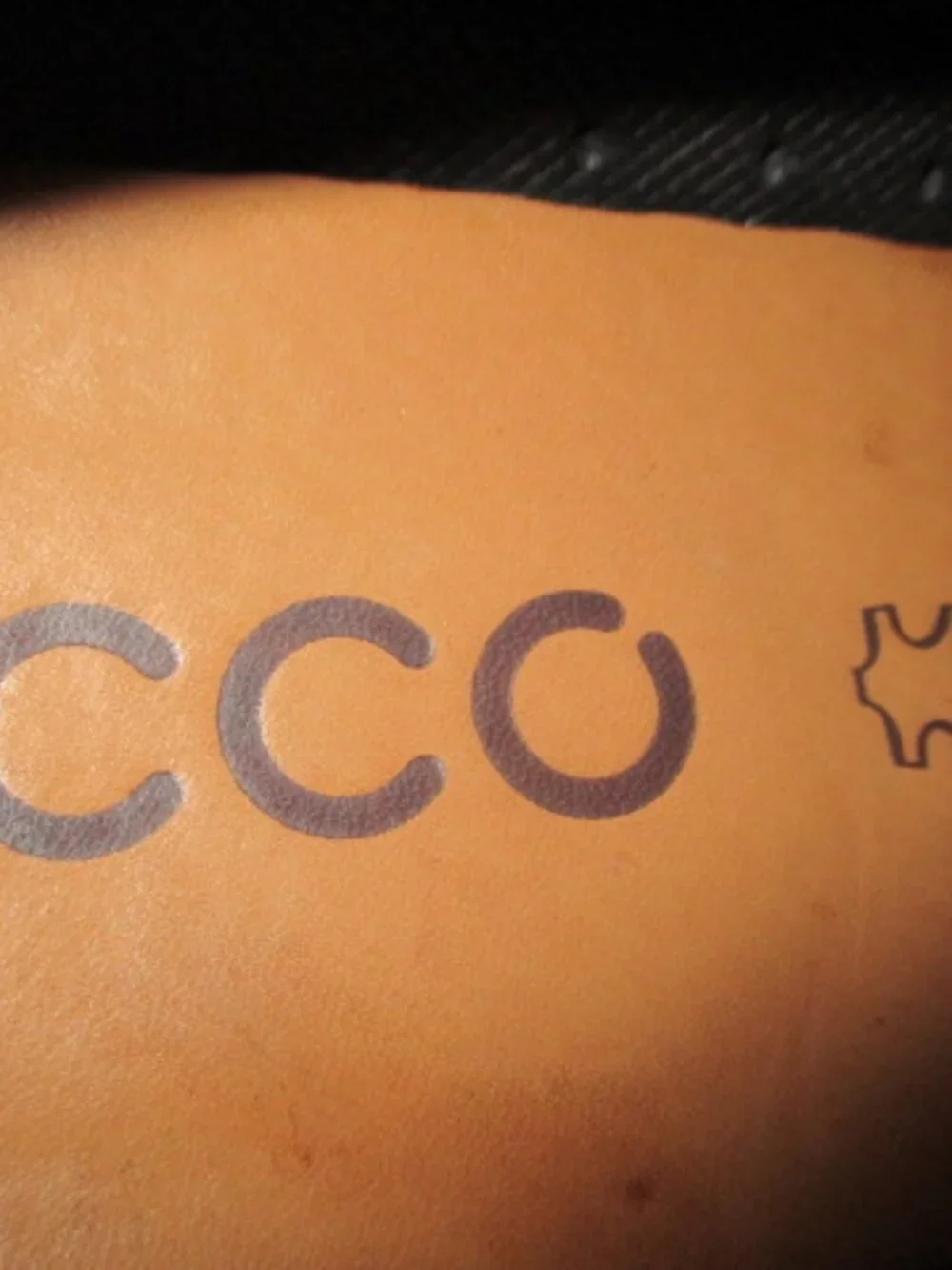 Ecco these are